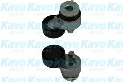 KAVO PARTS dtp6506 -  Натяжной ролик, поликлиновой  ремень